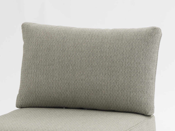 Zebra Fly Lounge Rückenkissen Farbe Cashmir